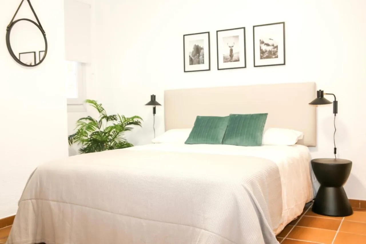 Apartment Apartamentos Arttyfal Con Parking Y Wifi By Surynieve Sierra Nevada